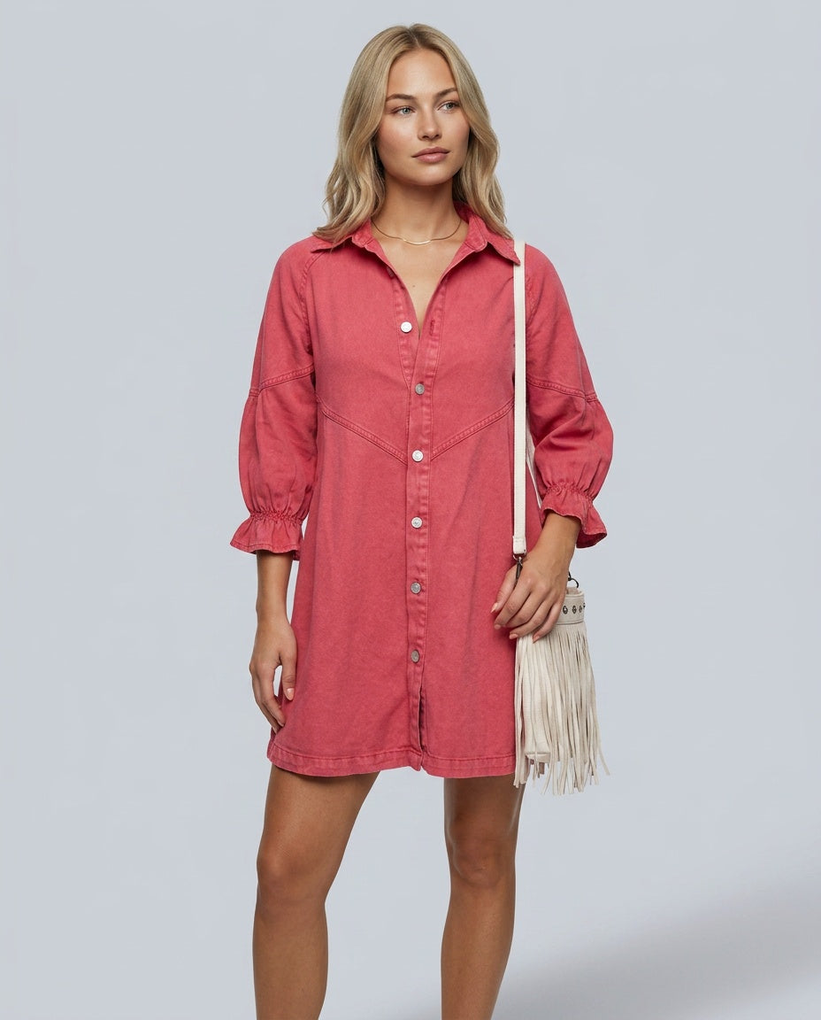 Margot | Collared Puff Sleeve Fit and Flare Mini Dress