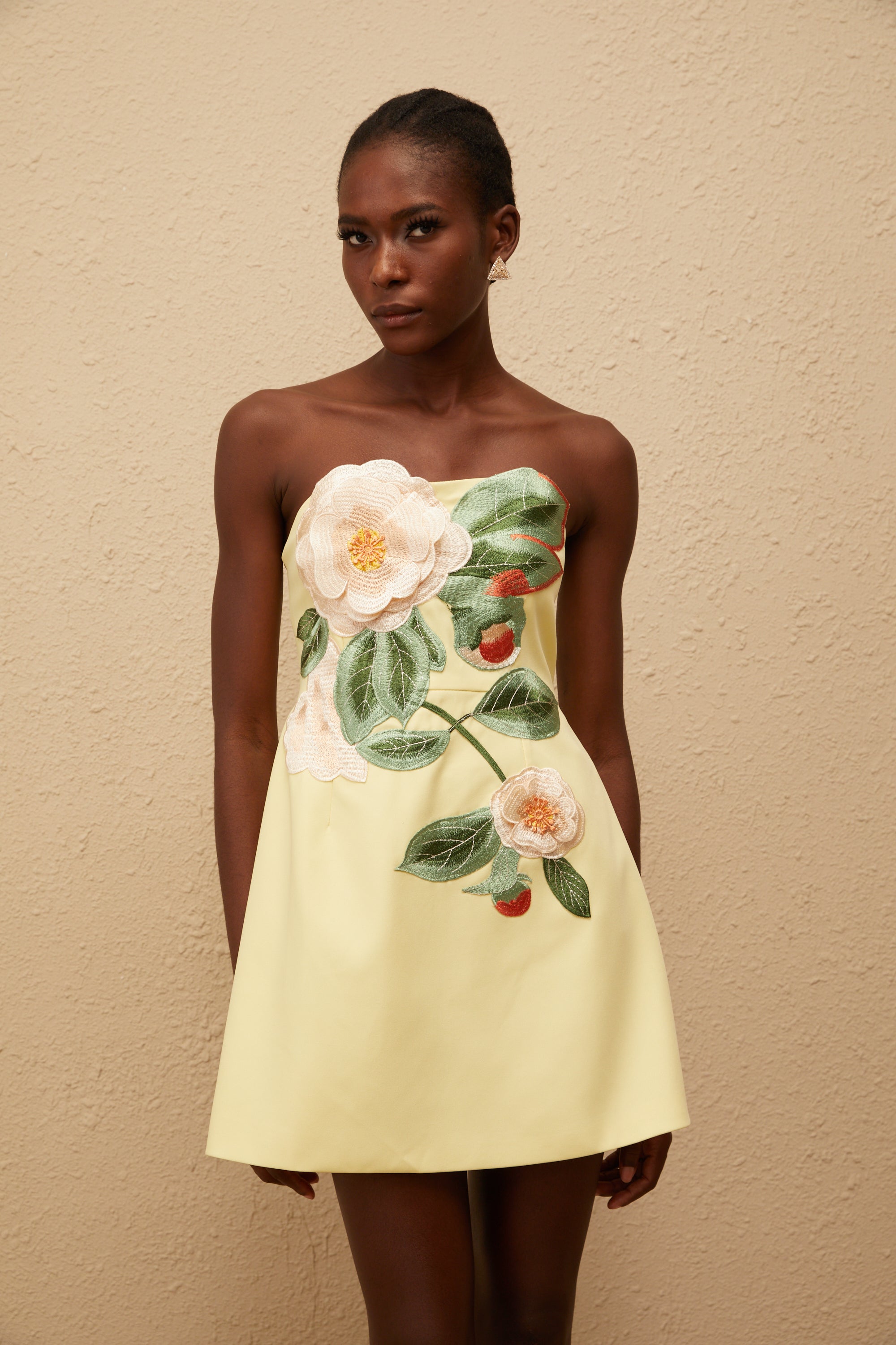 Alejandra | Off-Shoulder Floral Embroidered Mini Dress