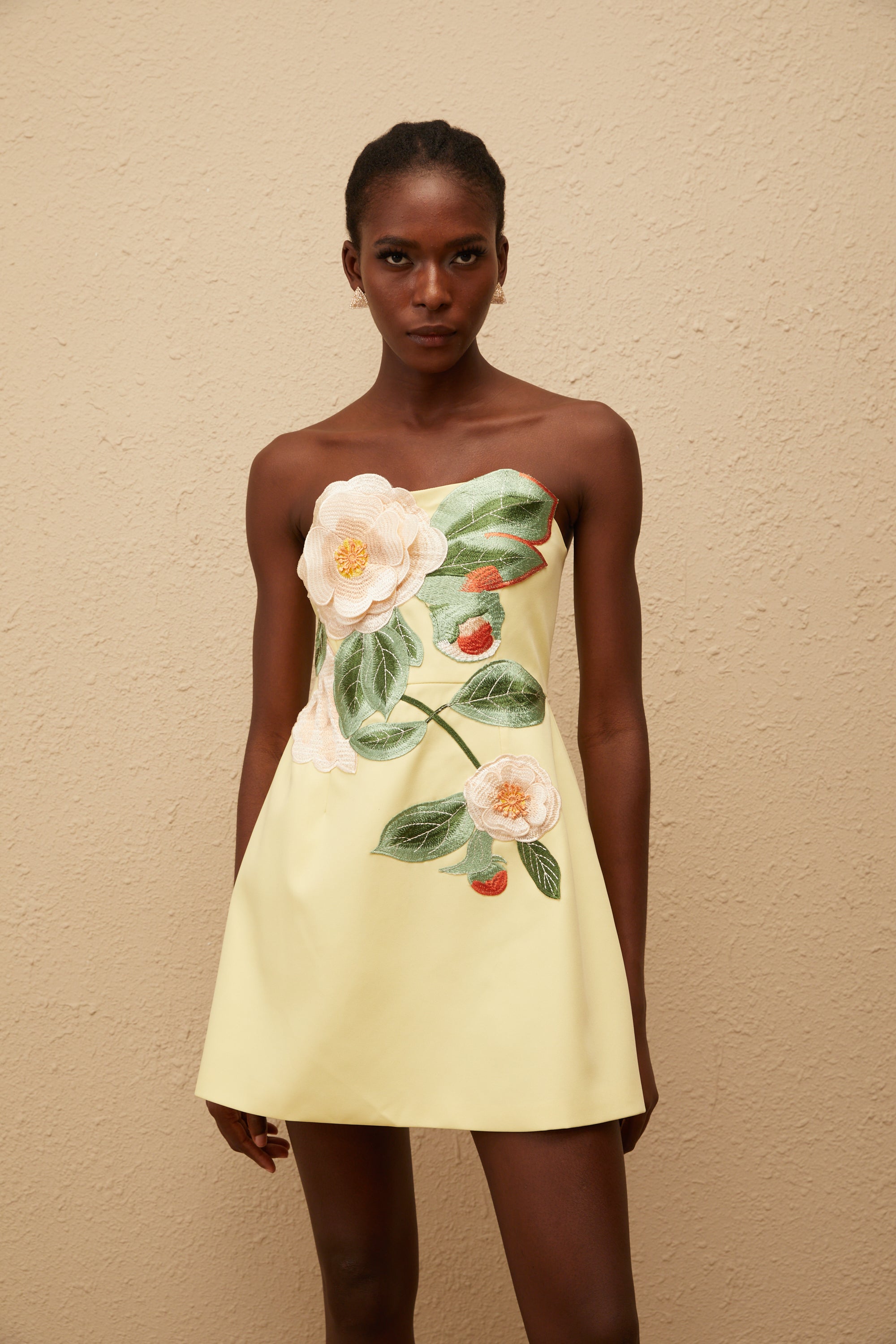 Alejandra | Off-Shoulder Floral Embroidered Mini Dress