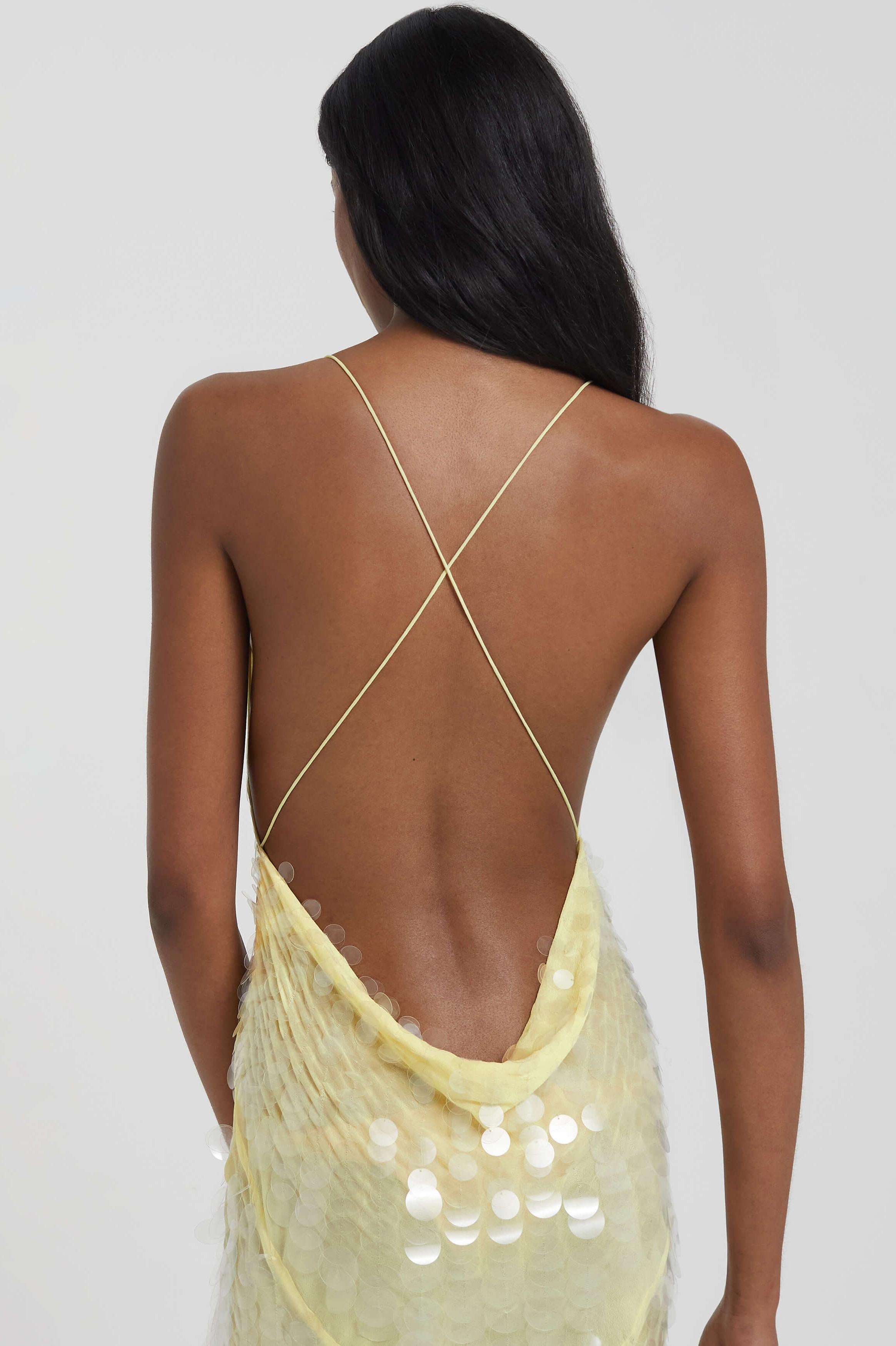 Delphine | Sequin V-Neck Sleeveless Maxi Dress