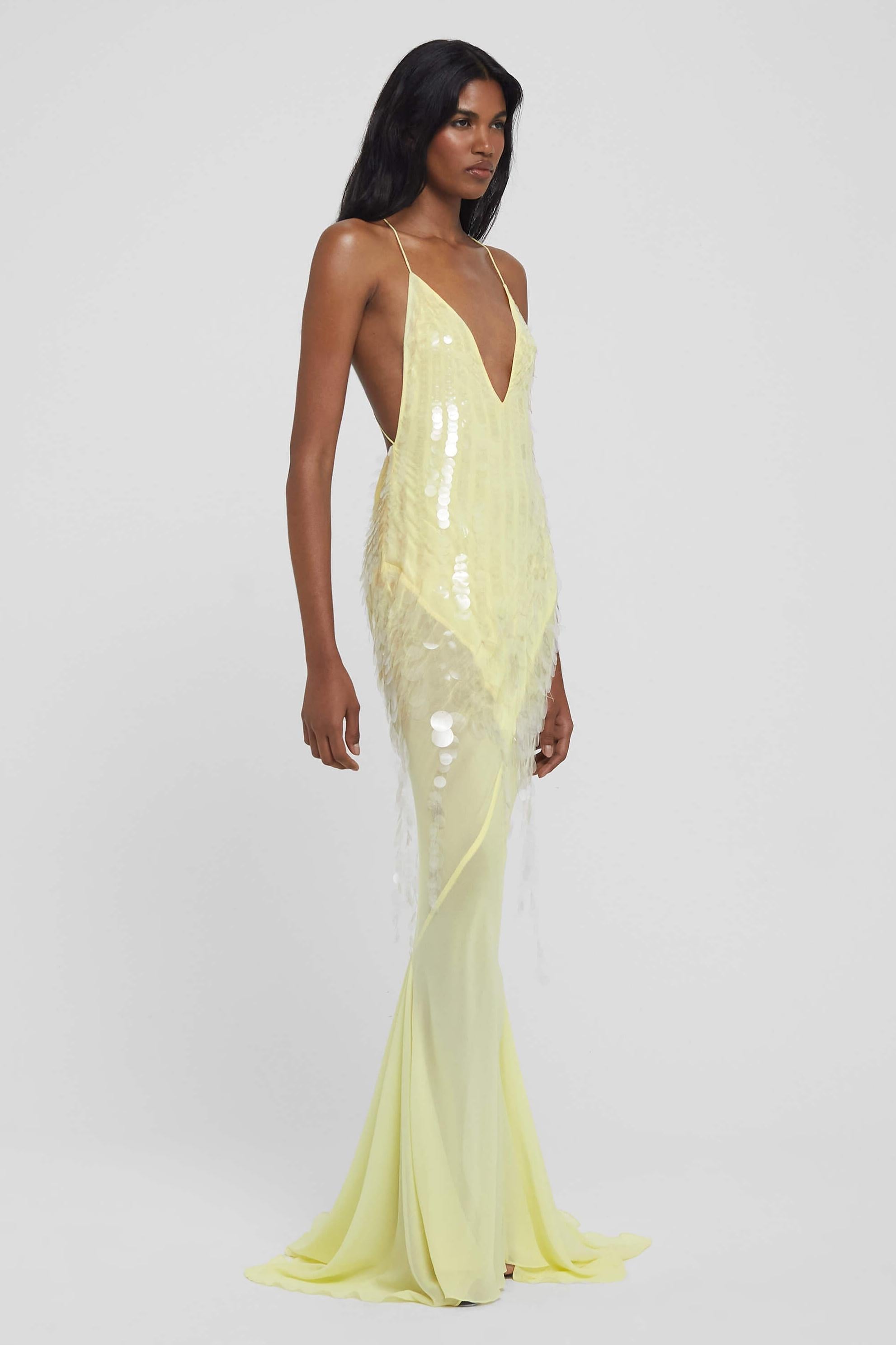 Delphine | Sequin V-Neck Sleeveless Maxi Dress