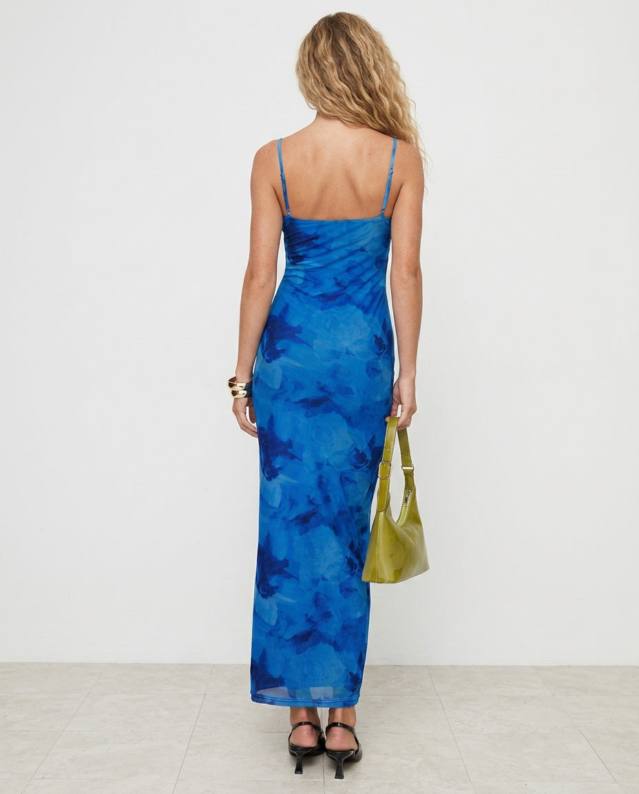 Hathaway | Blue Floral Print Maxi Dress
