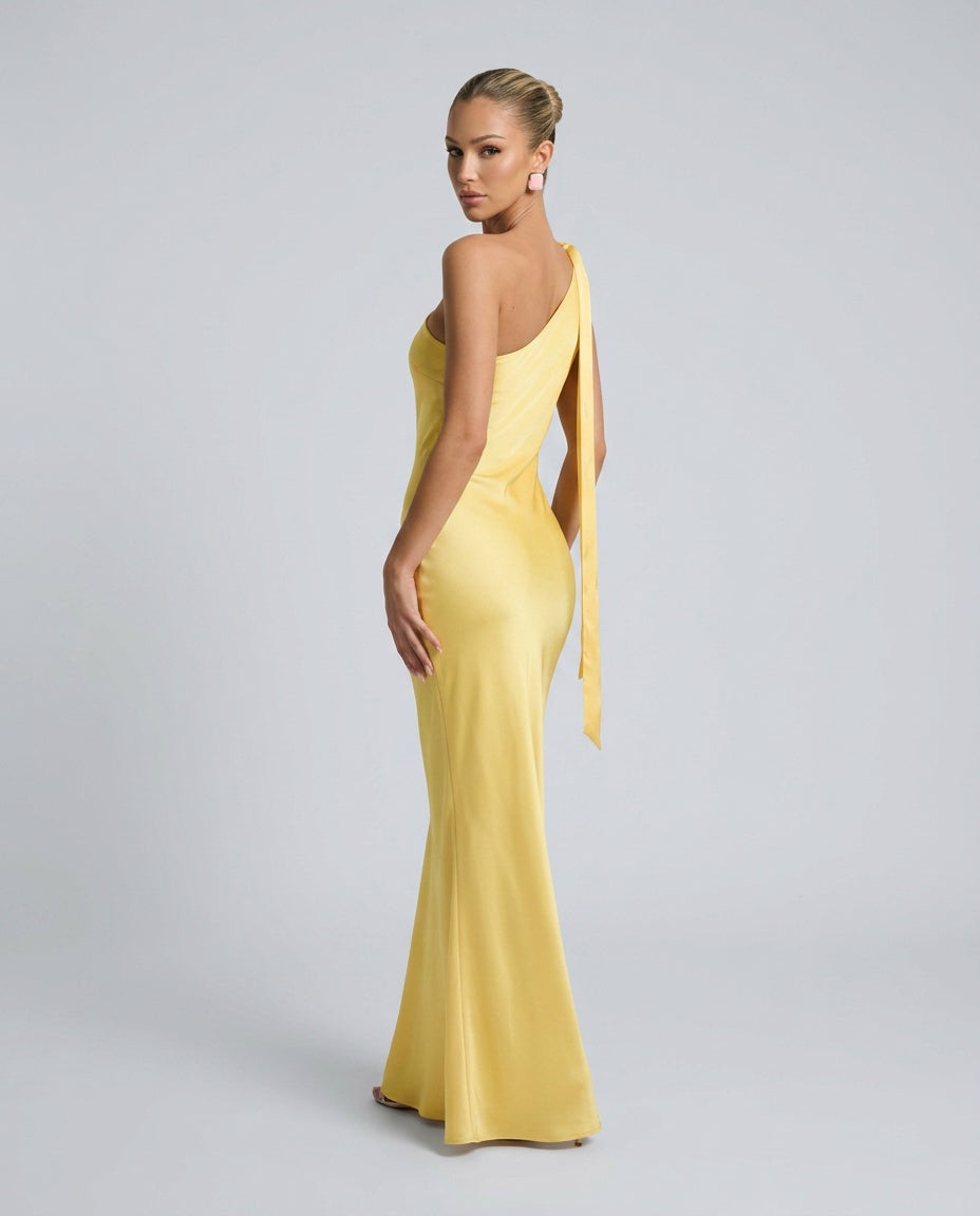 Naia | Backless Spaghetti Strap Maxi Dress