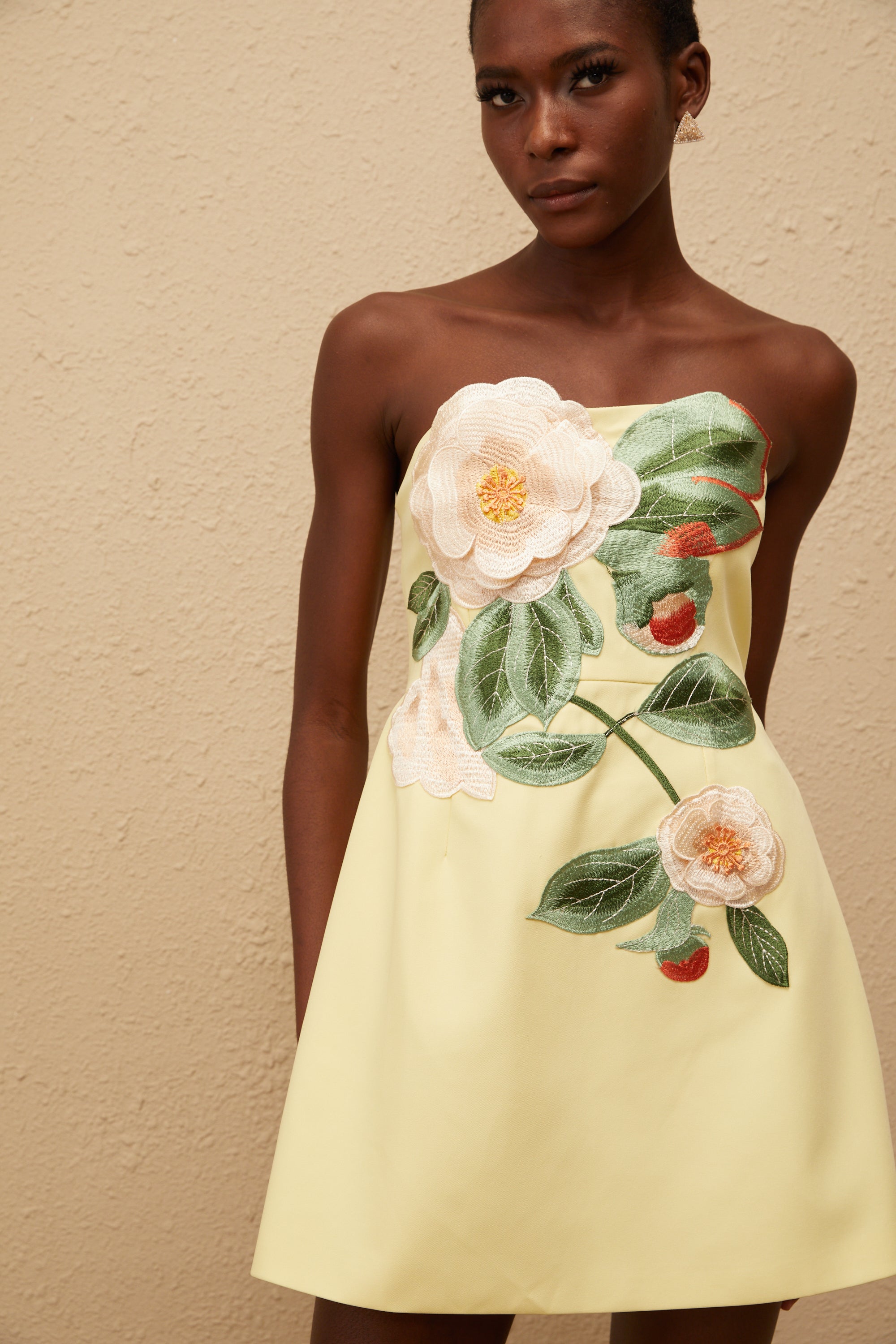 Alejandra | Off-Shoulder Floral Embroidered Mini Dress