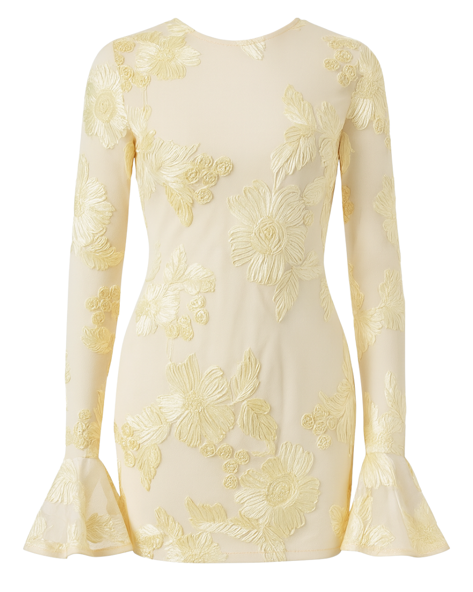 Ayla | Lace Floral Mini Dress