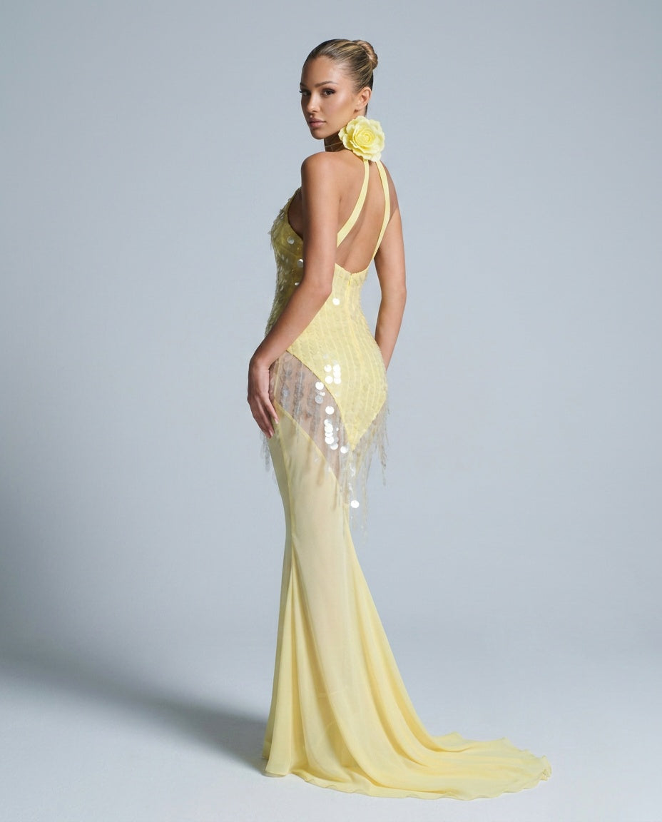 Delphine | Sequin V-Neck Sleeveless Maxi Dress