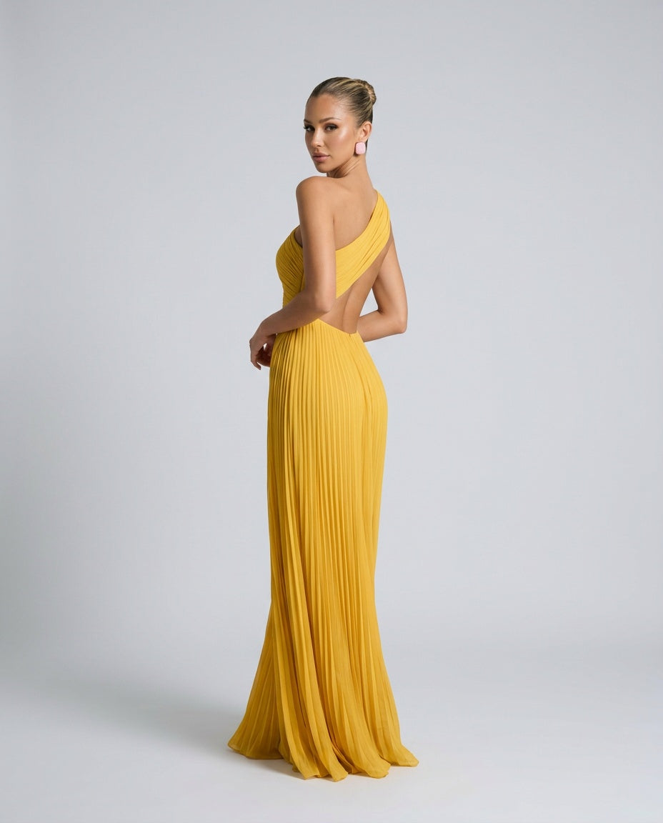 Aubrey | One-Shoulder Pleated Maxi Dress