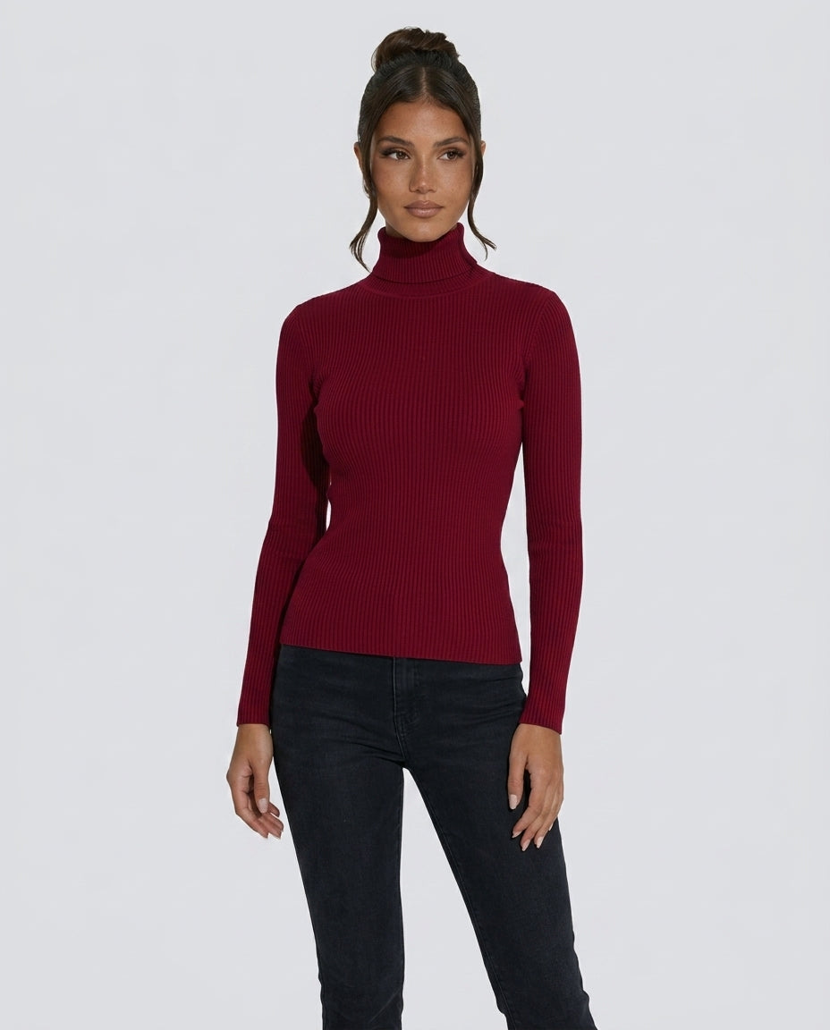 Alejandra | Ribbed Turtleneck Long Sleeve Knit Top