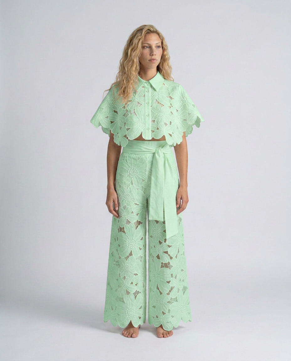 Bellarisse | Embroidered Lace Top & Skirt Set