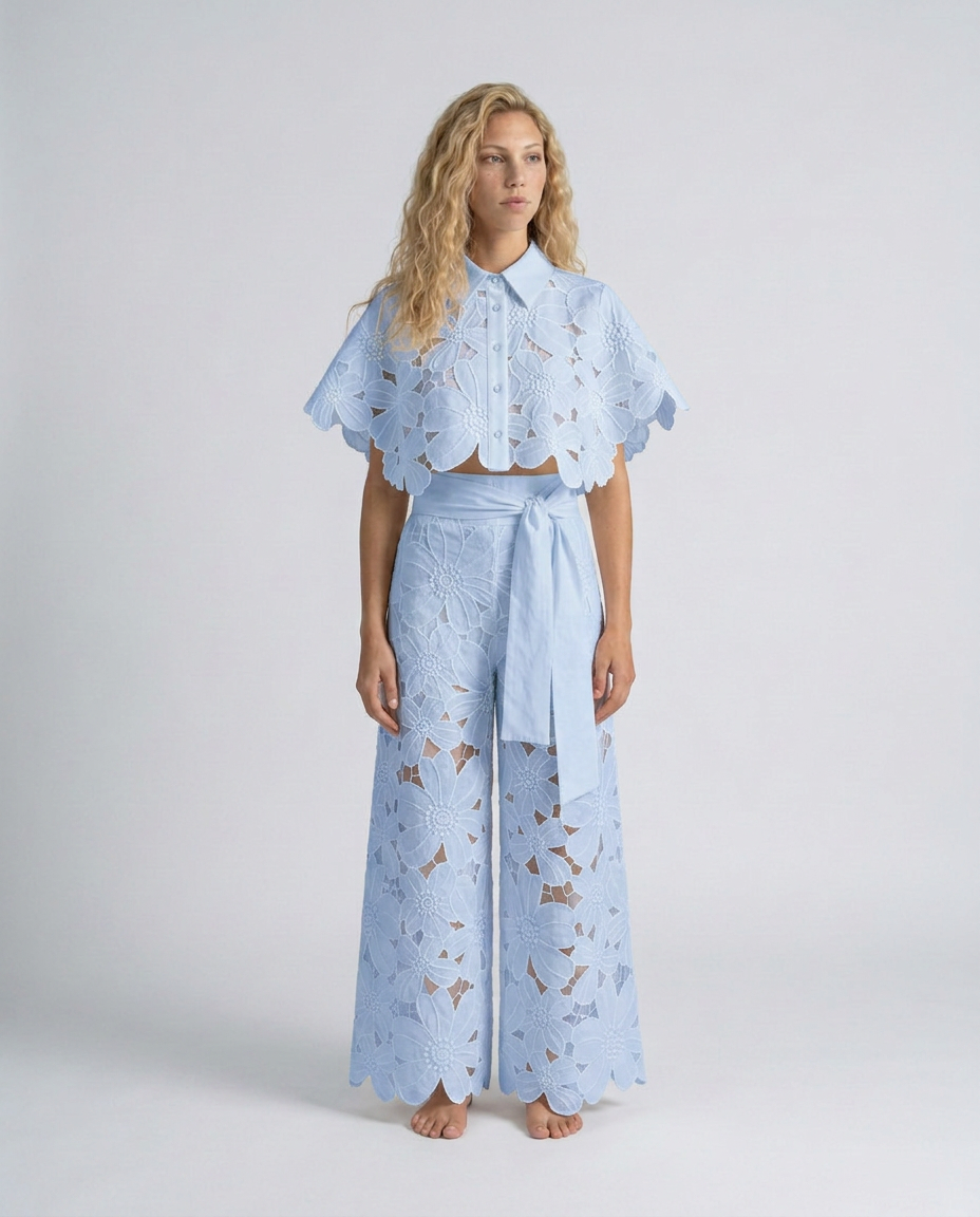 Bellarisse | Embroidered Lace Top & Skirt Set