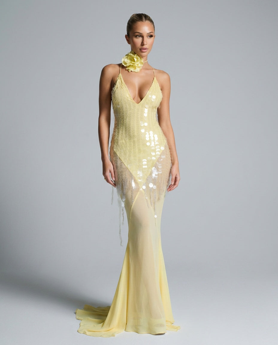 Delphine | Sequin V-Neck Sleeveless Maxi Dress