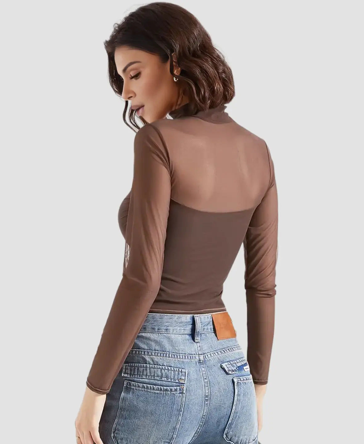 Pia | Sheer Mesh Long Sleeve Turtleneck Top
