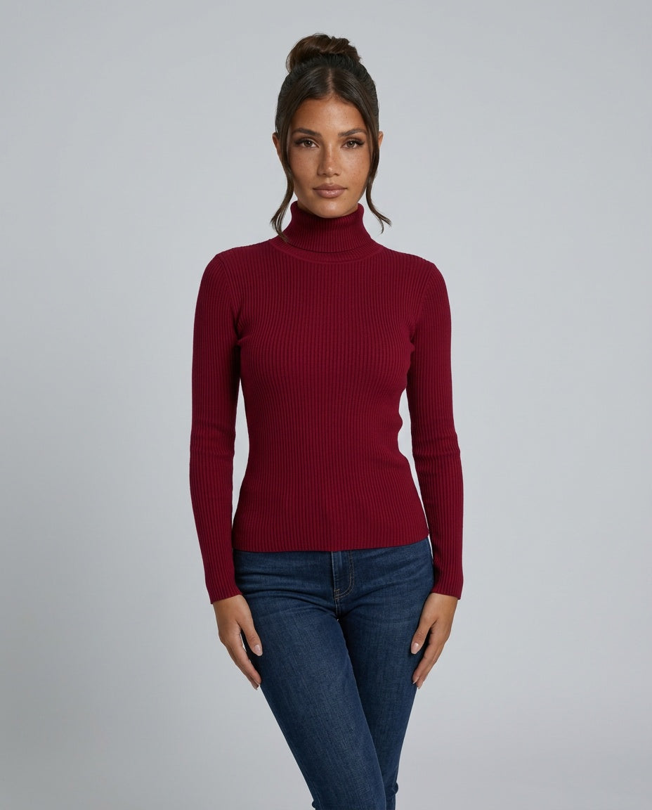 Alejandra | Ribbed Turtleneck Long Sleeve Knit Top