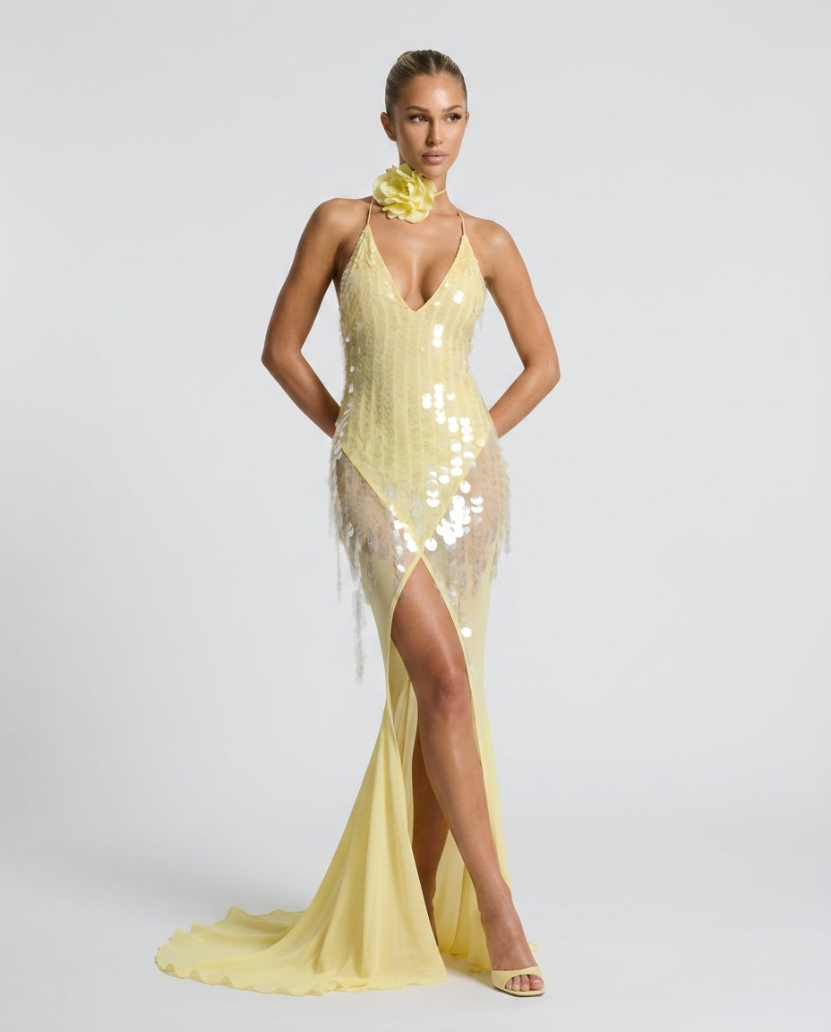 Delphine | Sequin V-Neck Sleeveless Maxi Dress